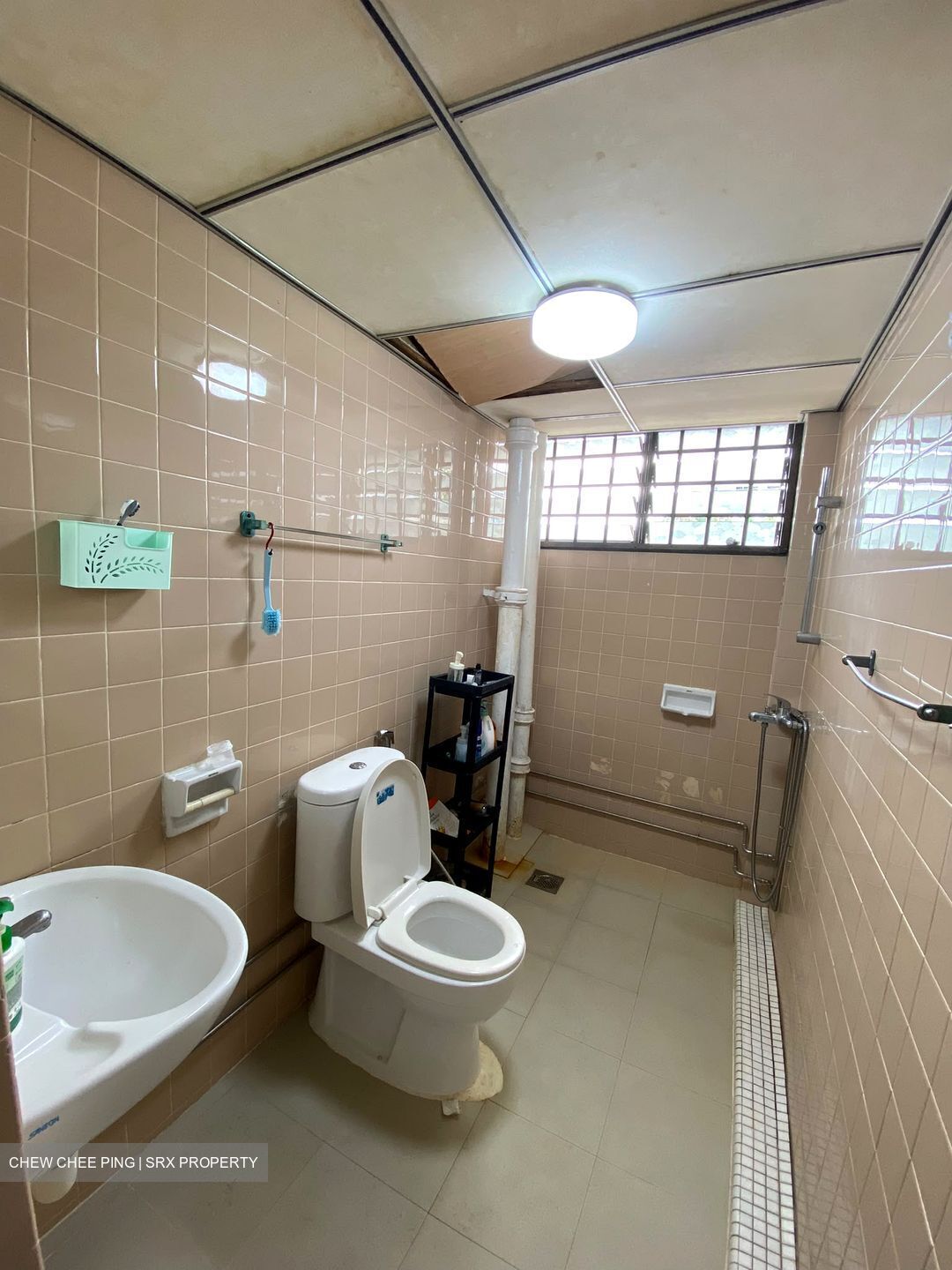 Laguna Park (D15), Apartment #576770381